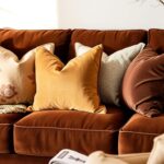 jakie poduszki do brązowej kanapy