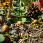 Czego nie lubia slimaki w ogrodzie