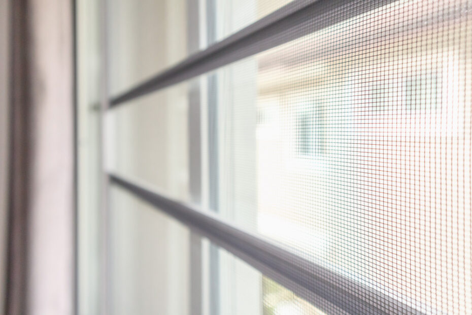 Gdzie kupić moskitiery okienne