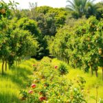 Jak rozplanować drzewa owocowe w ogrodzie