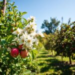 Jakie drzewa owocowe do ogrodu
